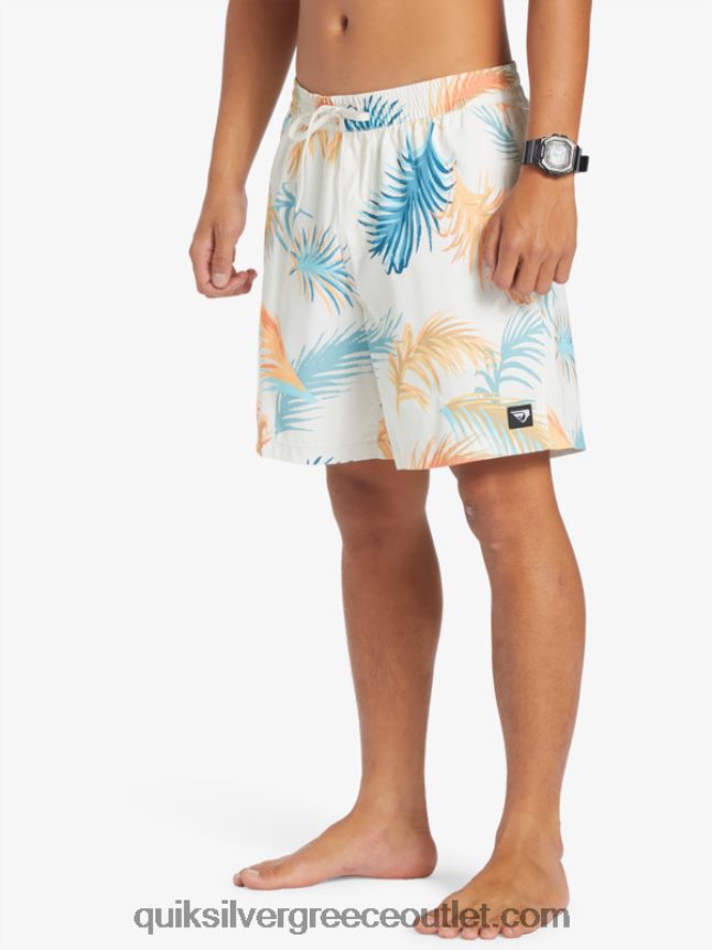 ανακατέψτε ξανά 17 βόλια Quiksilver άνδρες 66LP84355 σημύδα