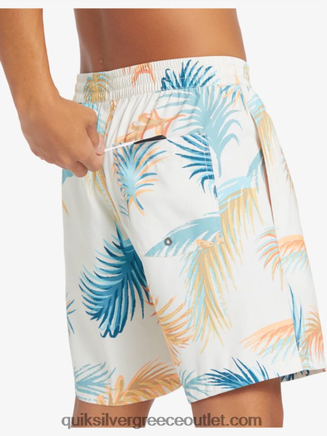 ανακατέψτε ξανά 17 βόλια Quiksilver άνδρες 66LP84355 σημύδα
