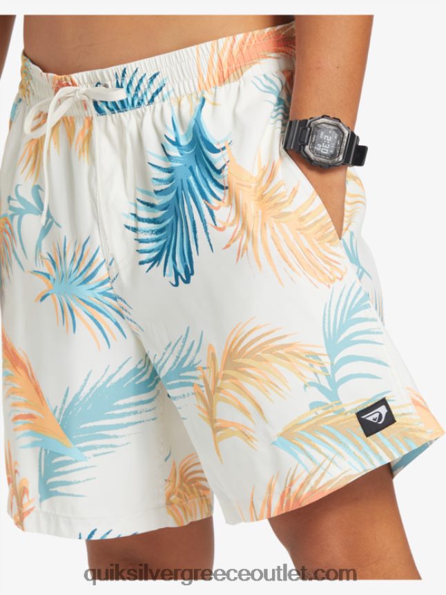 ανακατέψτε ξανά 17 βόλια Quiksilver άνδρες 66LP84355 σημύδα