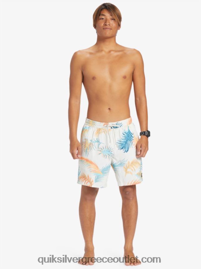 ανακατέψτε ξανά 17 βόλια Quiksilver άνδρες 66LP84355 σημύδα