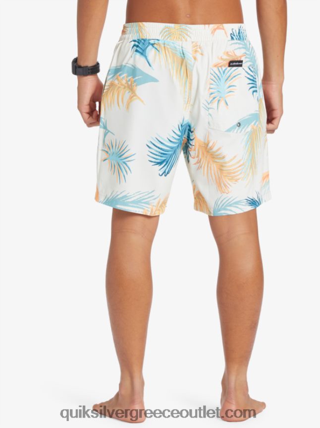ανακατέψτε ξανά 17 βόλια Quiksilver άνδρες 66LP84355 σημύδα
