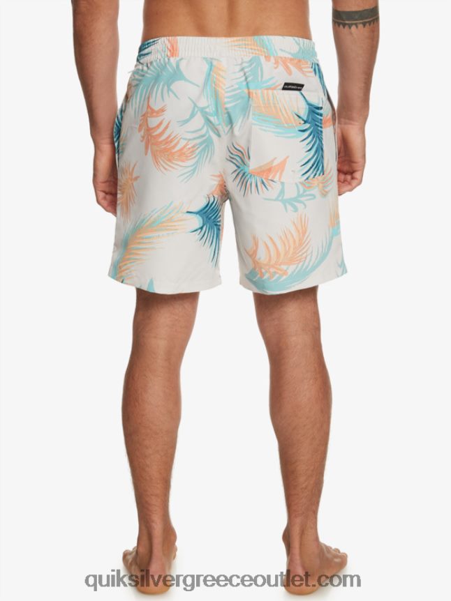 ανακατέψτε ξανά 17 βόλια Quiksilver άνδρες 66LP84355 σημύδα