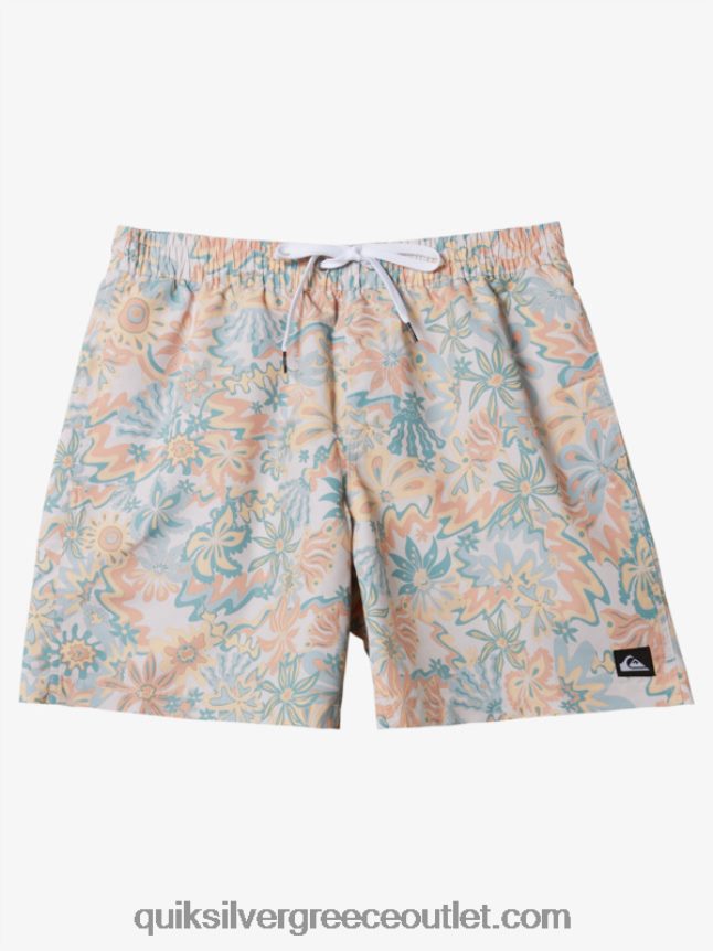 ανακατέψτε ξανά 17 βόλια Quiksilver άνδρες 66LP84357 σημύδα