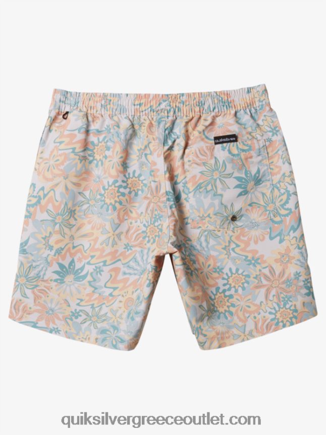 ανακατέψτε ξανά 17 βόλια Quiksilver άνδρες 66LP84357 σημύδα