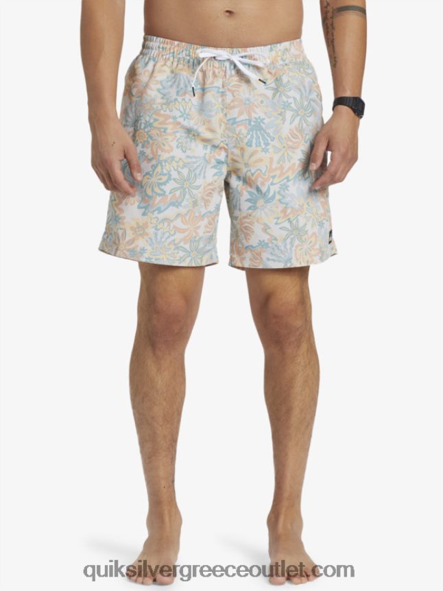 ανακατέψτε ξανά 17 βόλια Quiksilver άνδρες 66LP84357 σημύδα