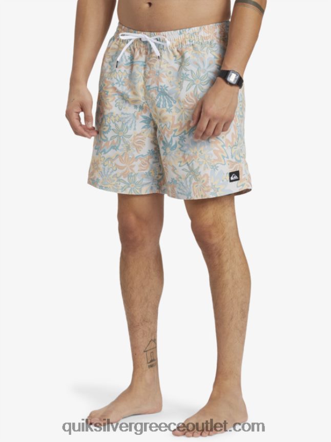 ανακατέψτε ξανά 17 βόλια Quiksilver άνδρες 66LP84357 σημύδα