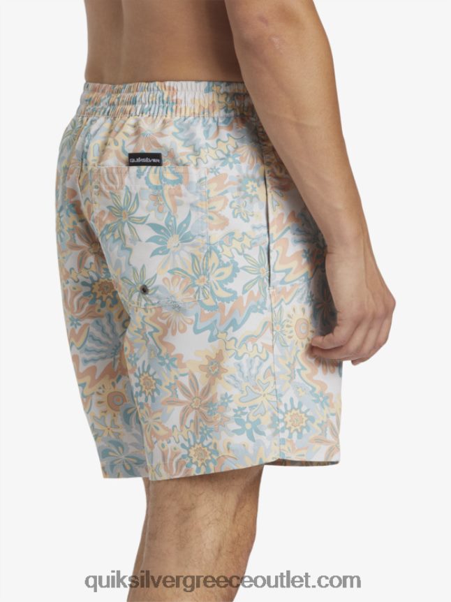 ανακατέψτε ξανά 17 βόλια Quiksilver άνδρες 66LP84357 σημύδα