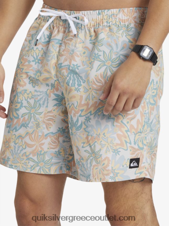 ανακατέψτε ξανά 17 βόλια Quiksilver άνδρες 66LP84357 σημύδα