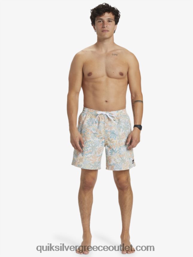ανακατέψτε ξανά 17 βόλια Quiksilver άνδρες 66LP84357 σημύδα