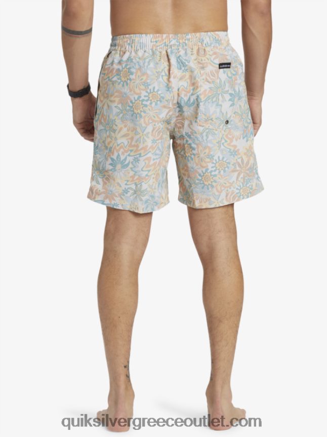 ανακατέψτε ξανά 17 βόλια Quiksilver άνδρες 66LP84357 σημύδα