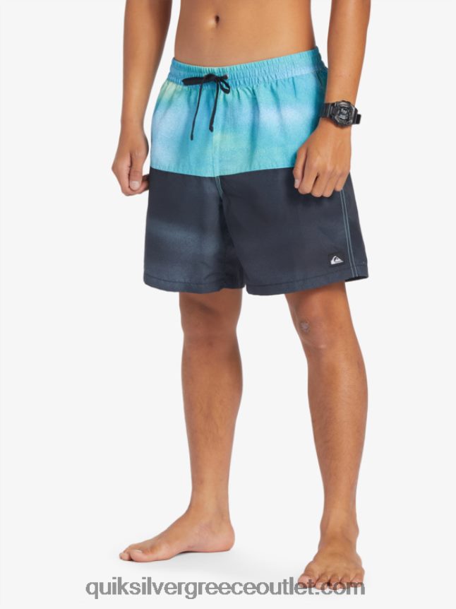 λογότυπο πισινό 17 βολέ Quiksilver άνδρες 66LP84482 ποτάμι μπλε