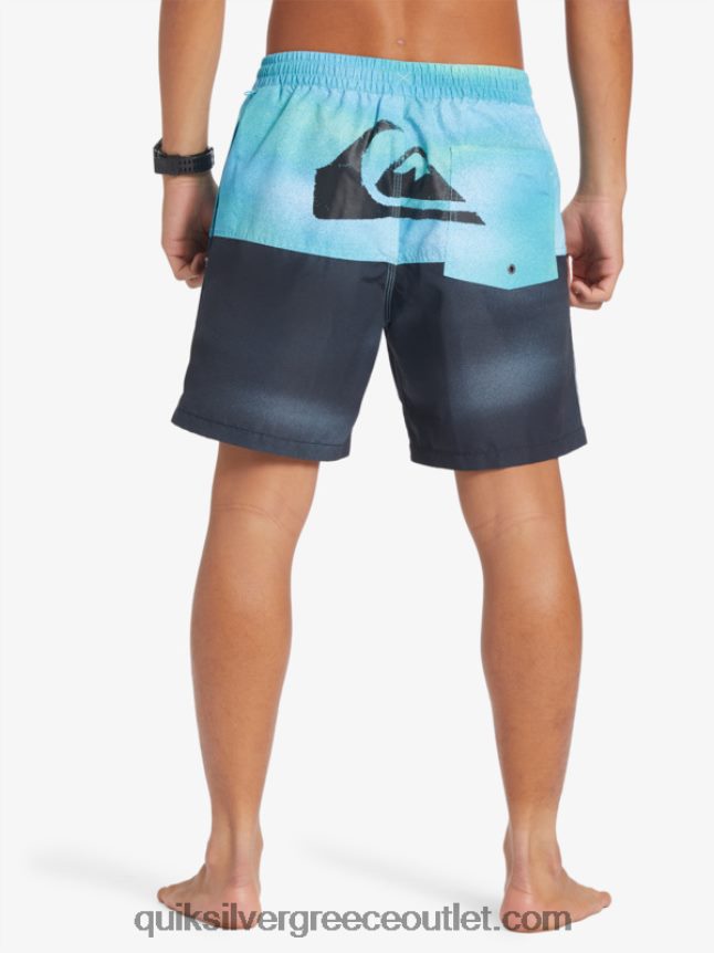 λογότυπο πισινό 17 βολέ Quiksilver άνδρες 66LP84482 ποτάμι μπλε
