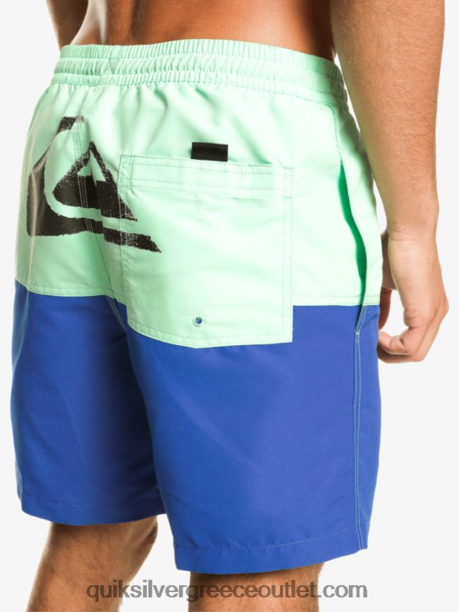λογότυπο πισινό 17 βολέ Quiksilver άνδρες 66LP84485 αναπνευστήρας μπλε