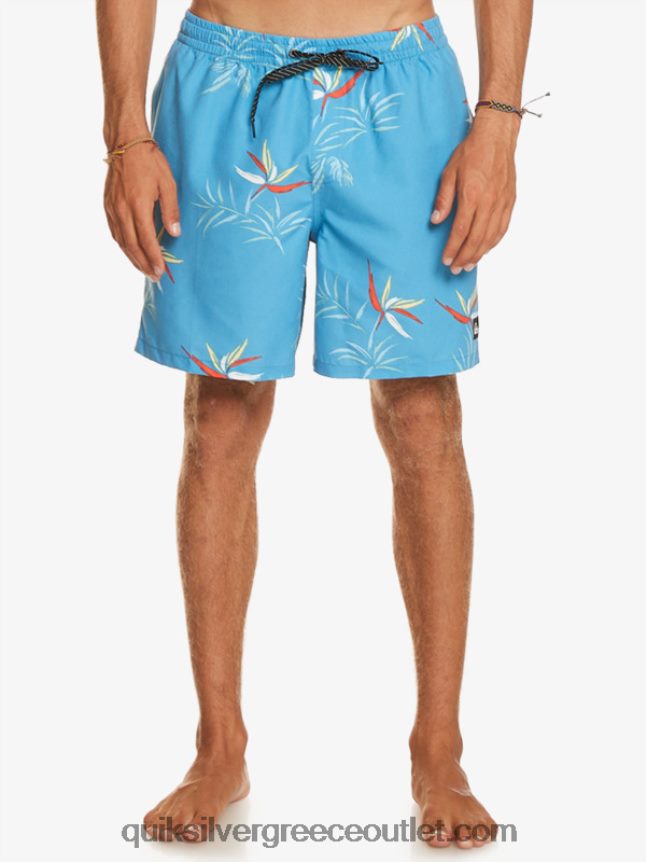 καθημερινή μίξη 17 βολέ Quiksilver άνδρες 66LP84674 γαλάζιο