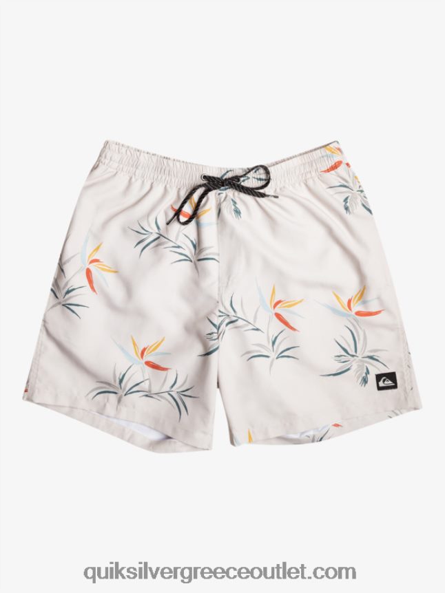 καθημερινή μίξη 17 βολέ Quiksilver άνδρες 66LP84676 σημύδα