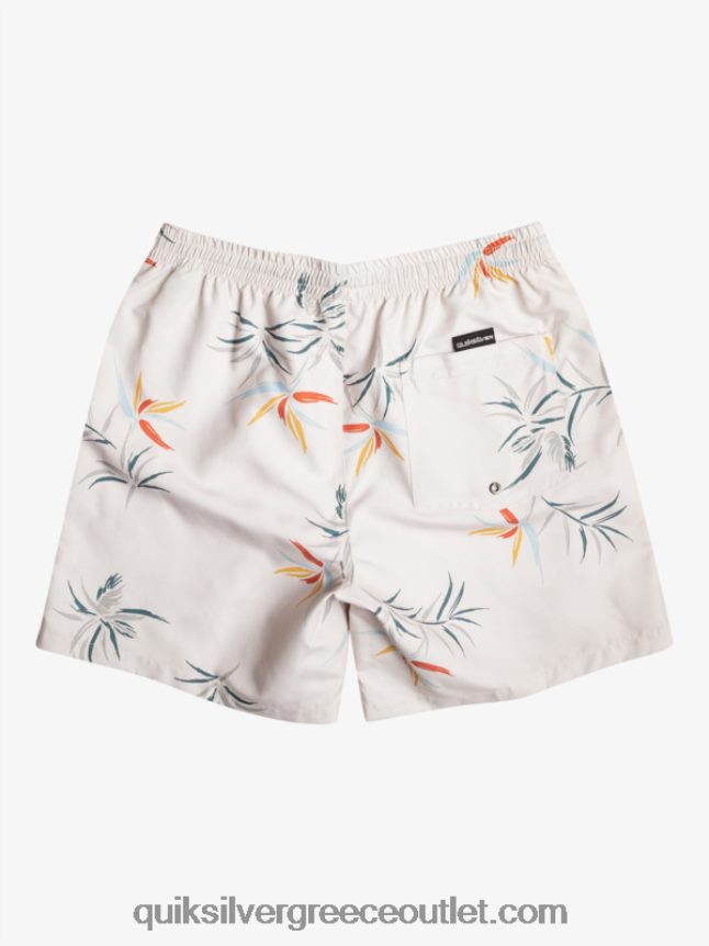 καθημερινή μίξη 17 βολέ Quiksilver άνδρες 66LP84676 σημύδα
