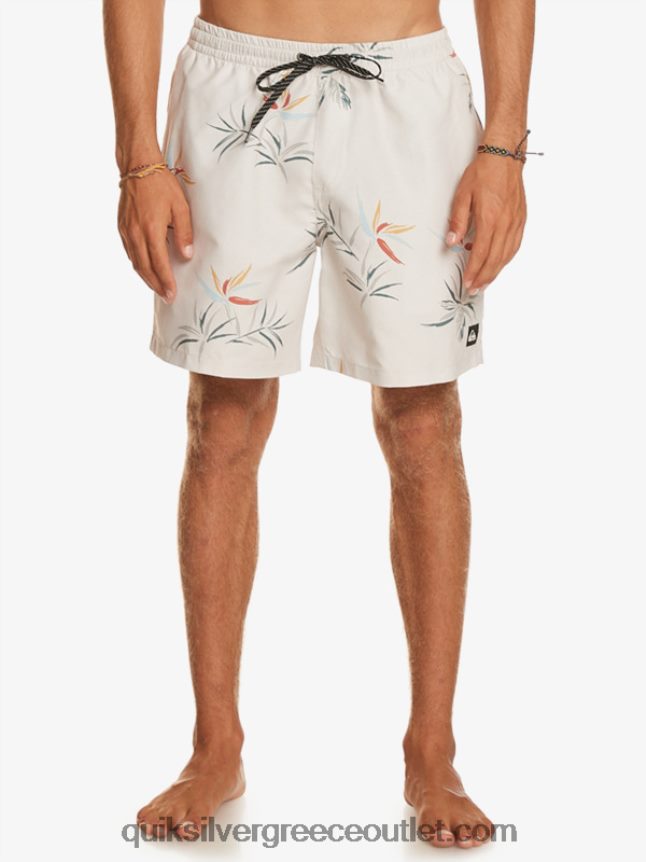 καθημερινή μίξη 17 βολέ Quiksilver άνδρες 66LP84676 σημύδα
