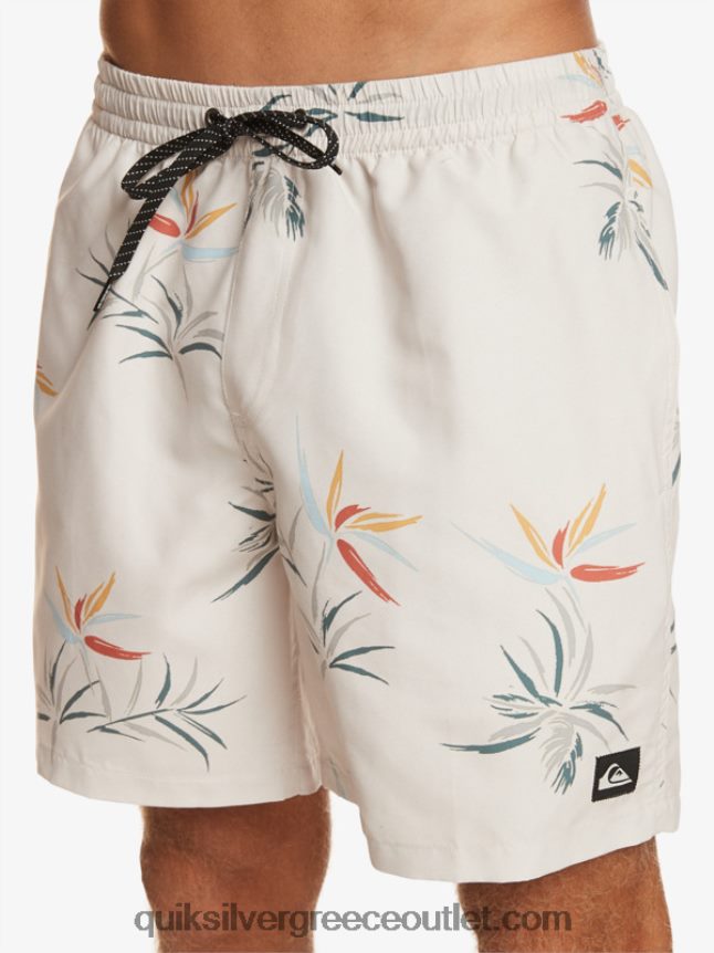 καθημερινή μίξη 17 βολέ Quiksilver άνδρες 66LP84676 σημύδα