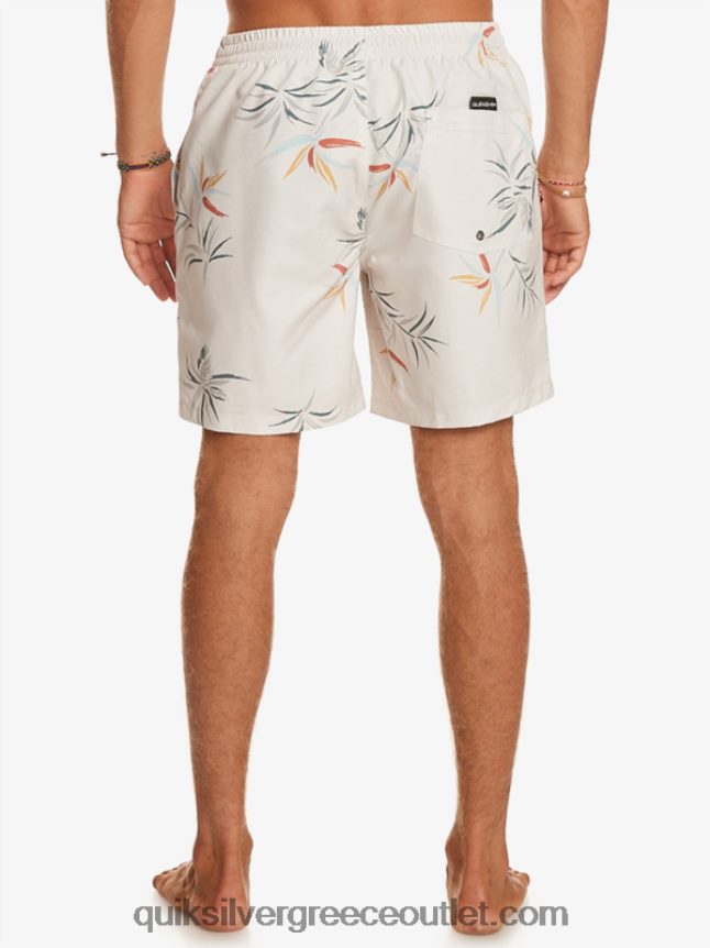 καθημερινή μίξη 17 βολέ Quiksilver άνδρες 66LP84676 σημύδα