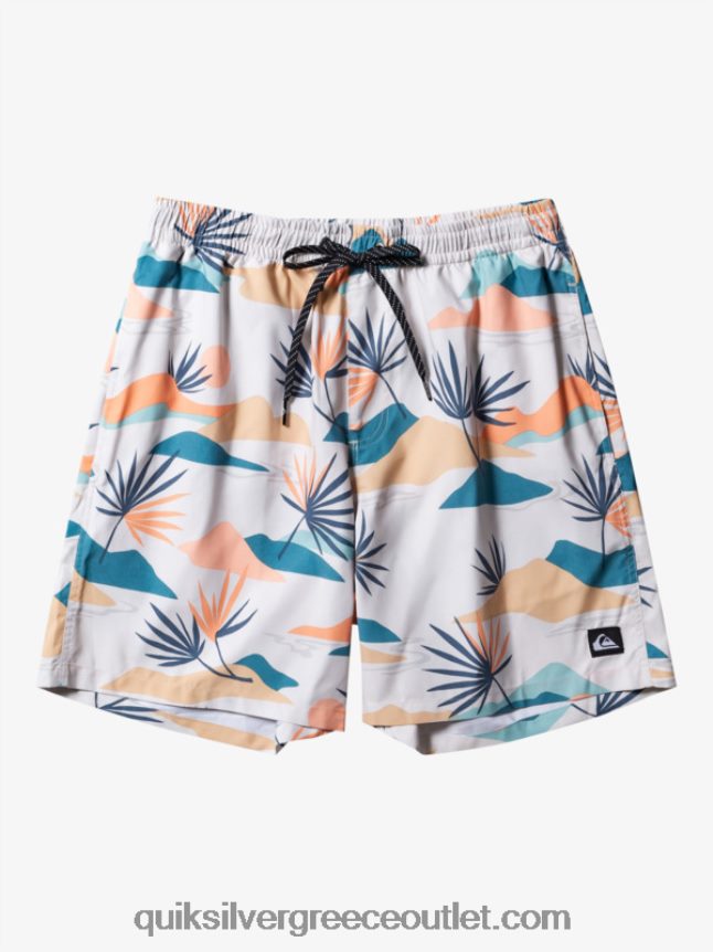 καθημερινή μίξη 17 βολέ Quiksilver άνδρες 66LP84678 σημύδα
