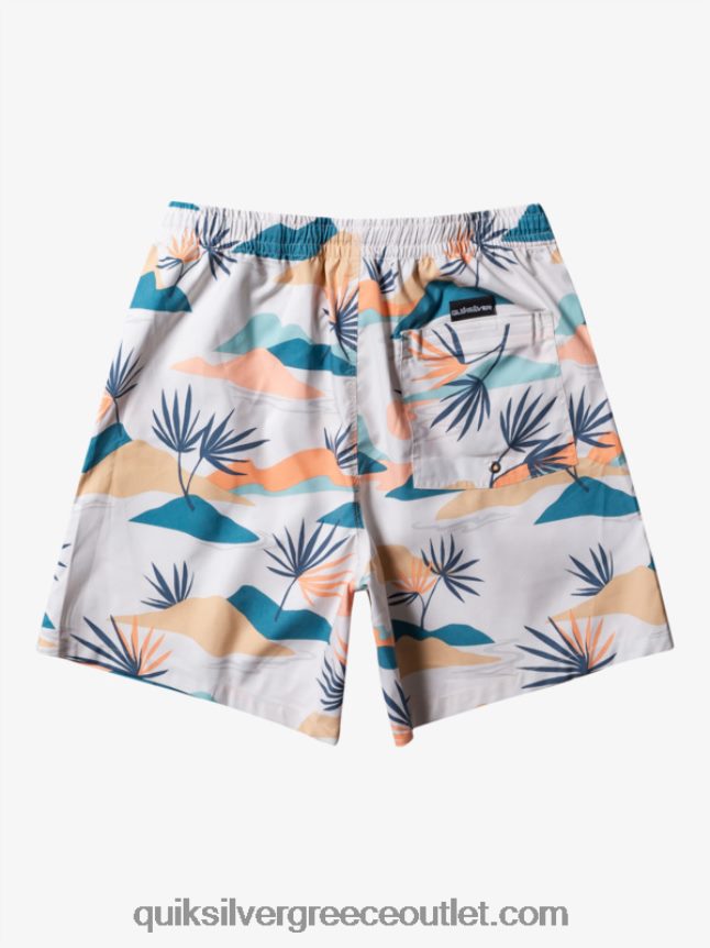 καθημερινή μίξη 17 βολέ Quiksilver άνδρες 66LP84678 σημύδα