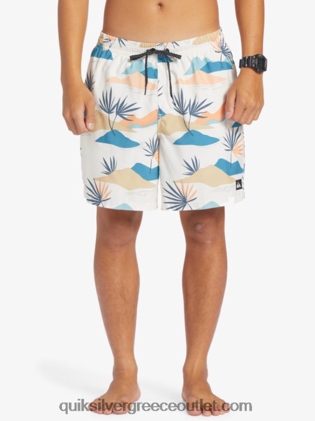 καθημερινή μίξη 17 βολέ Quiksilver άνδρες 66LP84678 σημύδα