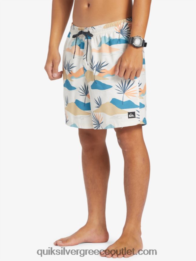 καθημερινή μίξη 17 βολέ Quiksilver άνδρες 66LP84678 σημύδα