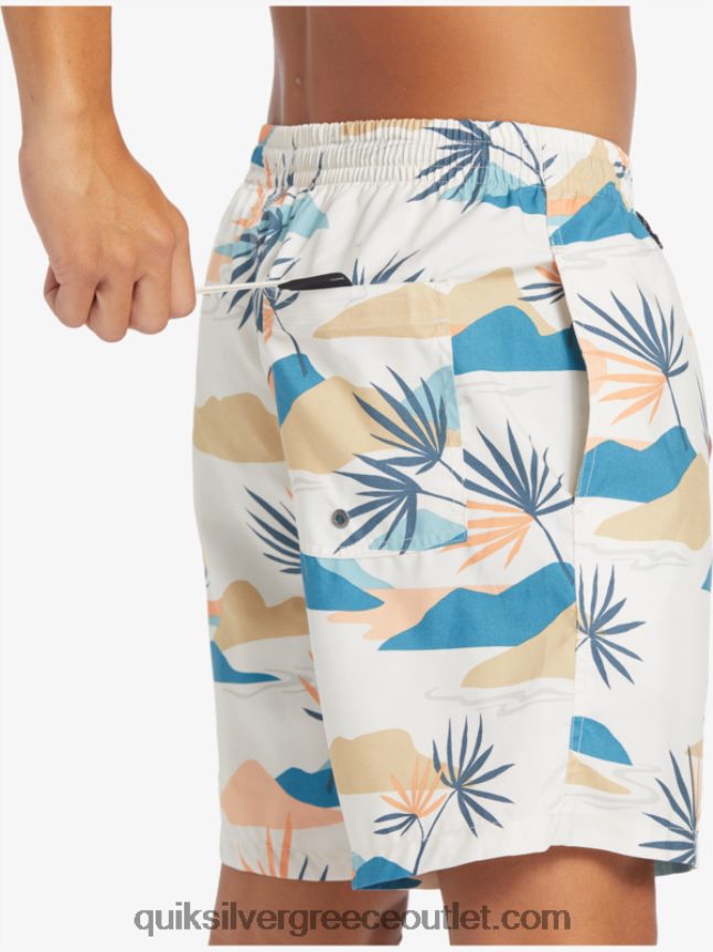 καθημερινή μίξη 17 βολέ Quiksilver άνδρες 66LP84678 σημύδα