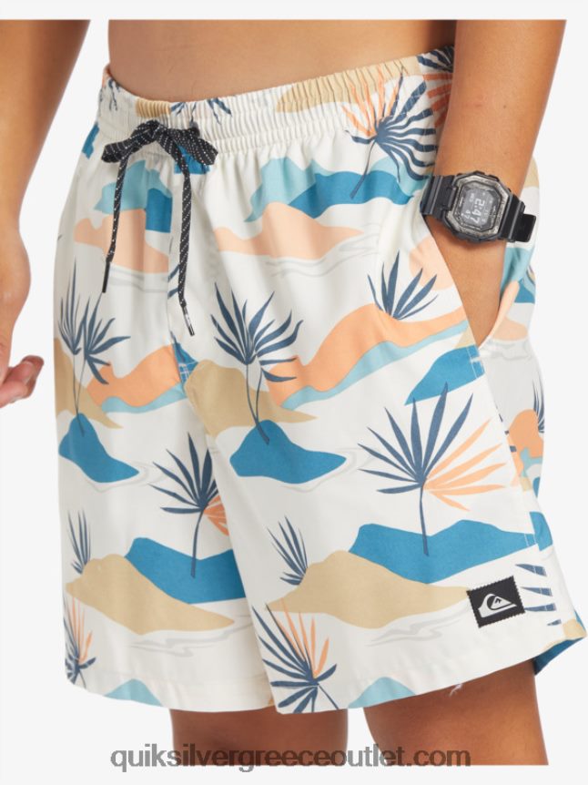 καθημερινή μίξη 17 βολέ Quiksilver άνδρες 66LP84678 σημύδα