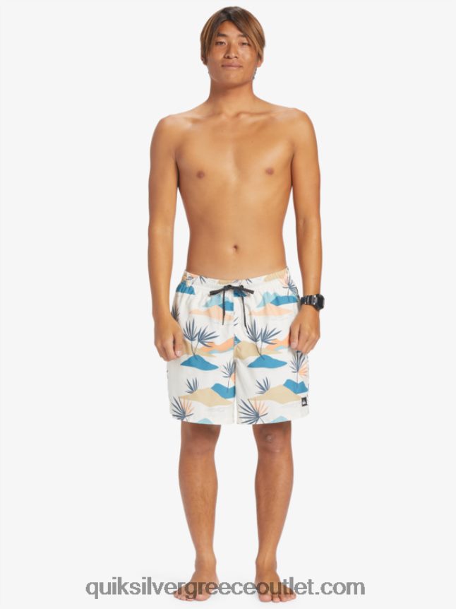 καθημερινή μίξη 17 βολέ Quiksilver άνδρες 66LP84678 σημύδα