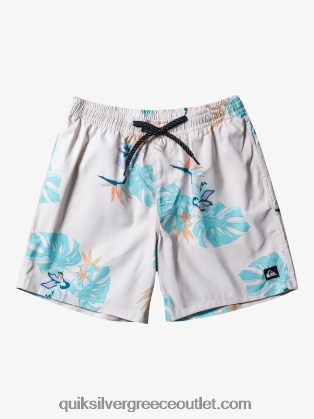 καθημερινή μίξη 17 βολέ Quiksilver άνδρες 66LP84679 άσπρο