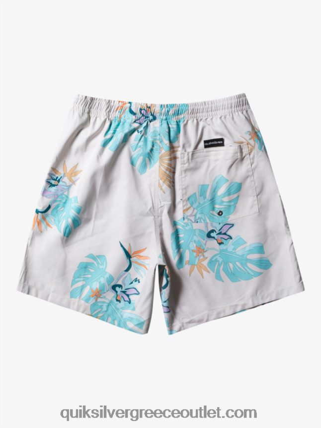 καθημερινή μίξη 17 βολέ Quiksilver άνδρες 66LP84679 άσπρο