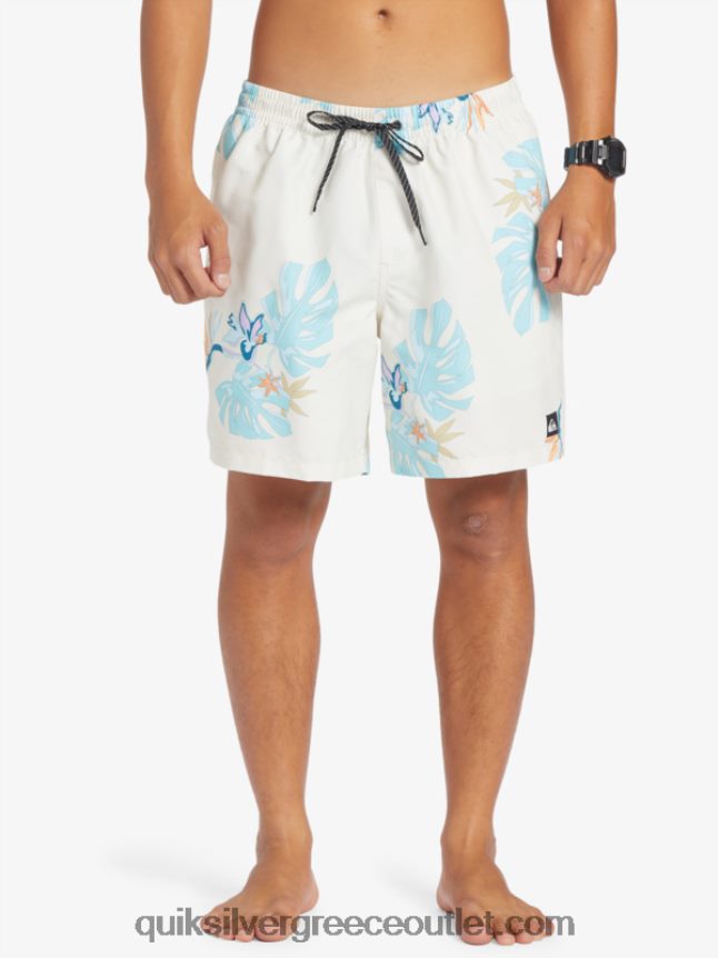 καθημερινή μίξη 17 βολέ Quiksilver άνδρες 66LP84679 άσπρο
