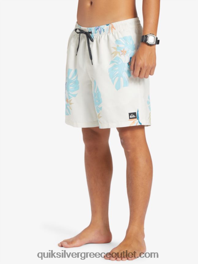 καθημερινή μίξη 17 βολέ Quiksilver άνδρες 66LP84679 άσπρο