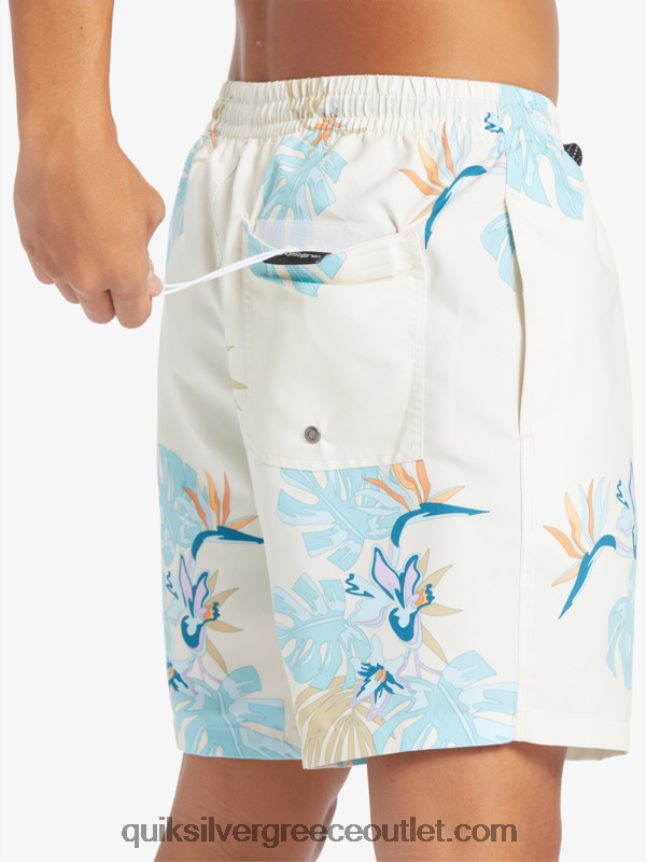 καθημερινή μίξη 17 βολέ Quiksilver άνδρες 66LP84679 άσπρο