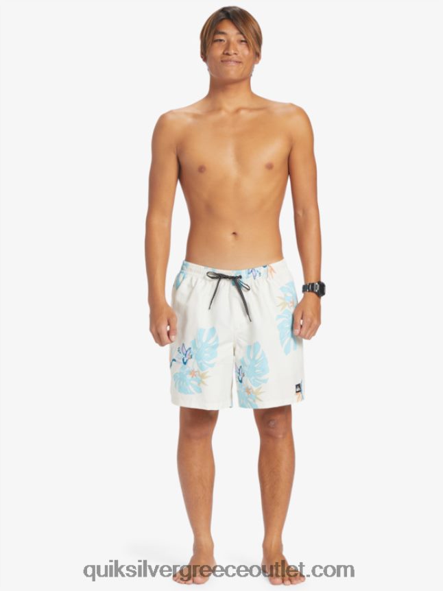 καθημερινή μίξη 17 βολέ Quiksilver άνδρες 66LP84679 άσπρο