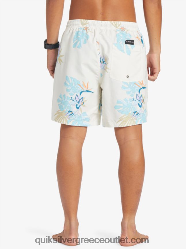 καθημερινή μίξη 17 βολέ Quiksilver άνδρες 66LP84679 άσπρο