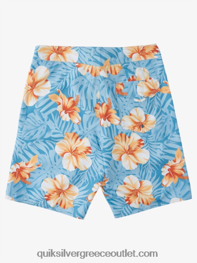 καθημερινά κλασικά φλοράλ 20 boardshorts Quiksilver άνδρες 66LP841684 λιμάνι d floral