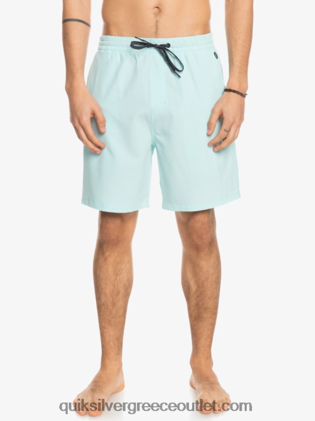 Ocean elastic 18 σορτς αμφίβια Quiksilver άνδρες 66LP84351 παγωμένο νερό