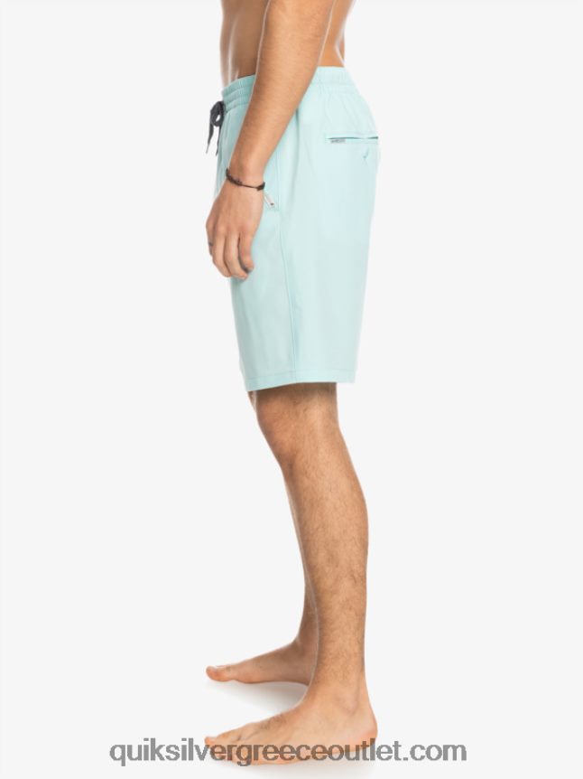 Ocean elastic 18 σορτς αμφίβια Quiksilver άνδρες 66LP84351 παγωμένο νερό