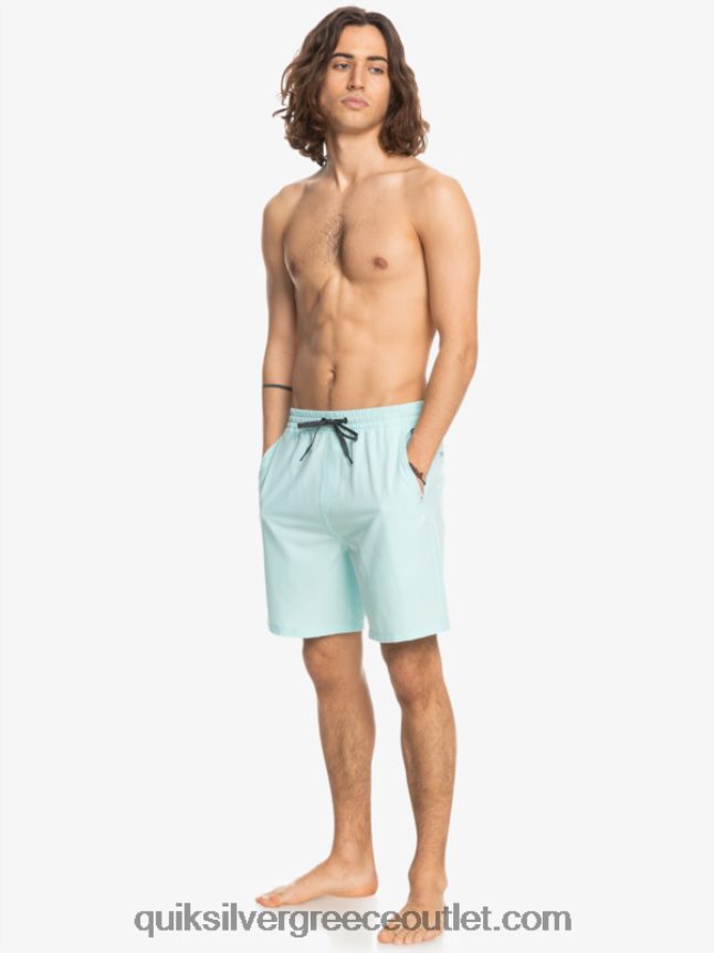 Ocean elastic 18 σορτς αμφίβια Quiksilver άνδρες 66LP84351 παγωμένο νερό