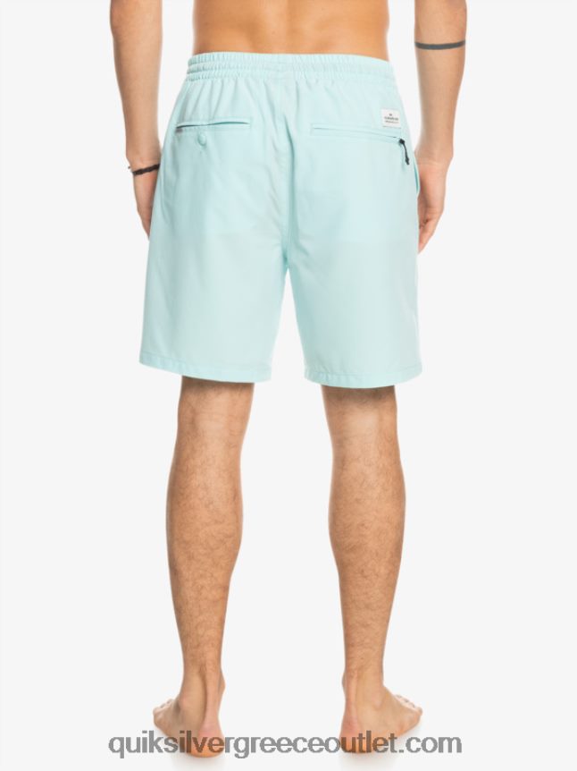Ocean elastic 18 σορτς αμφίβια Quiksilver άνδρες 66LP84351 παγωμένο νερό