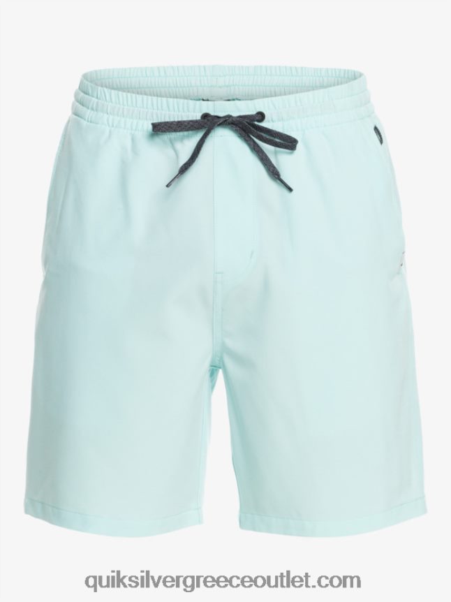 Ocean elastic 18 σορτς αμφίβια Quiksilver άνδρες 66LP84351 παγωμένο νερό