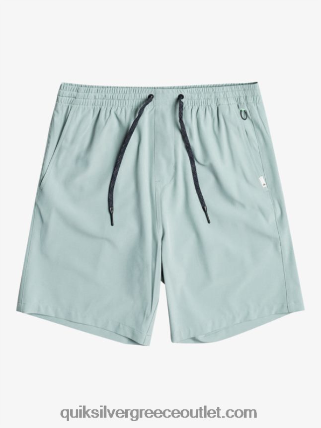 Ocean elastic 18 σορτς αμφίβια Quiksilver άνδρες 66LP84352 πράσινο περιβάλλον