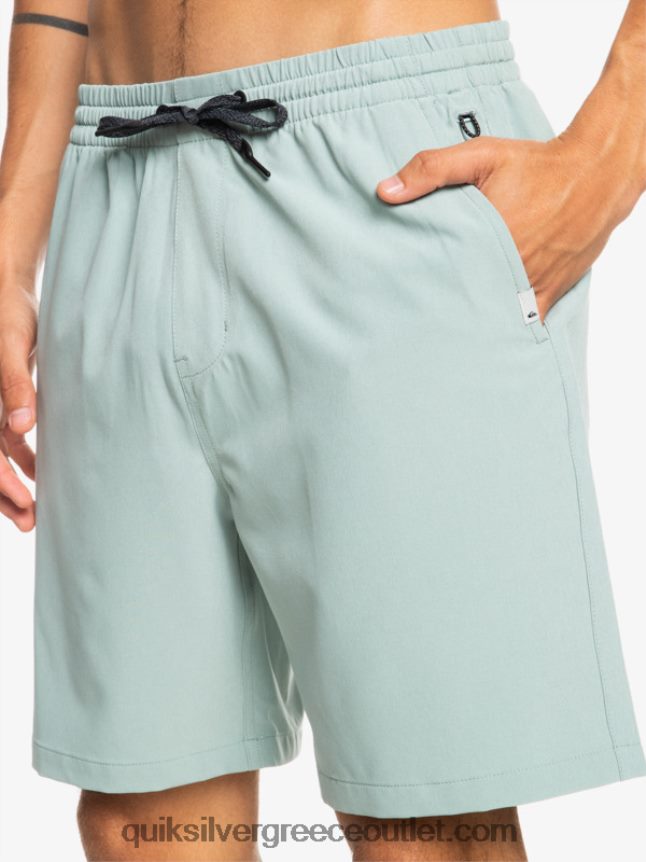 Ocean elastic 18 σορτς αμφίβια Quiksilver άνδρες 66LP84352 πράσινο περιβάλλον