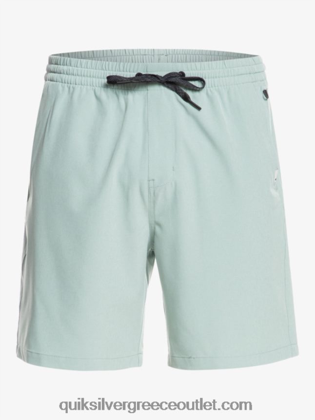 Ocean elastic 18 σορτς αμφίβια Quiksilver άνδρες 66LP84352 πράσινο περιβάλλον