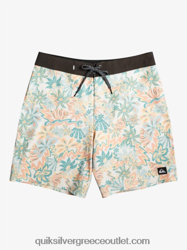 boardshort surfsilk qs 69 18 Quiksilver άνδρες 66LP84242 σημύδα