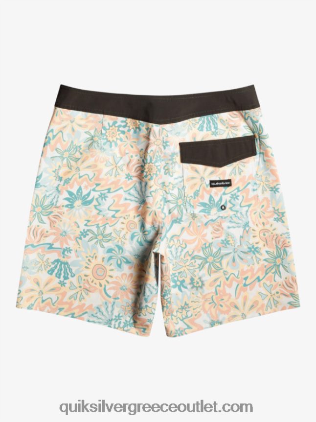 boardshort surfsilk qs 69 18 Quiksilver άνδρες 66LP84242 σημύδα