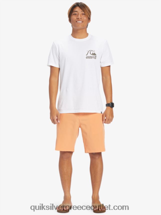 ocean union amphibian 20 υβριδικά σορτς Quiksilver άνδρες 66LP84143 μαύρισμα χαλκού