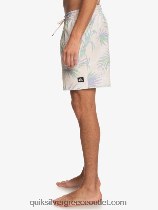 μείγμα surfsilk 17 βόλια Quiksilver άνδρες 66LP84635 σημύδα